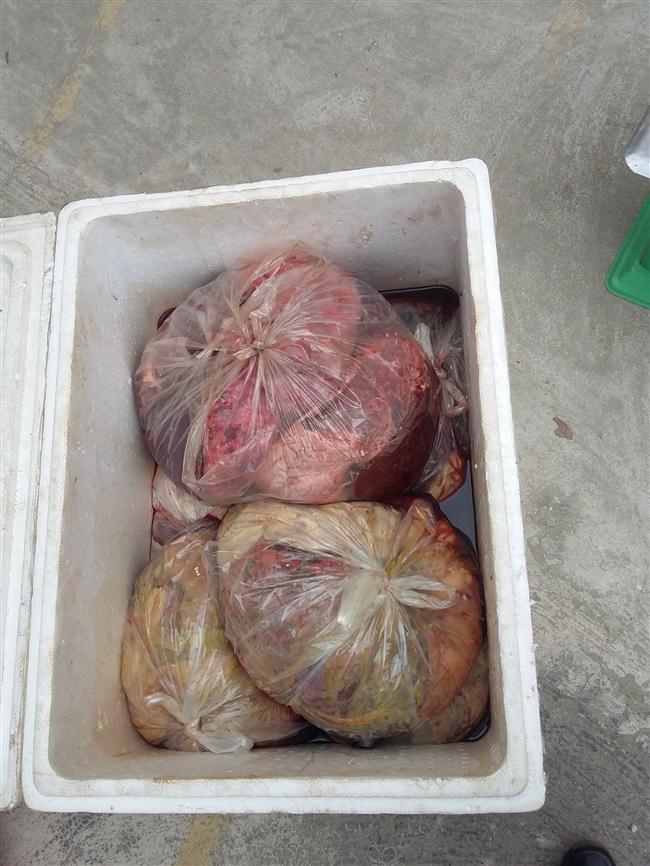 Lô hàng nội tạng động vật bốc mùi hôi thối đựng trong thùng xốp