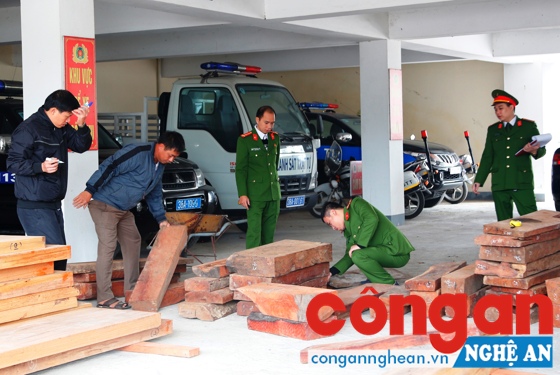 Lực lượng chức năng kiểm tra số gỗ bị tạm giữ