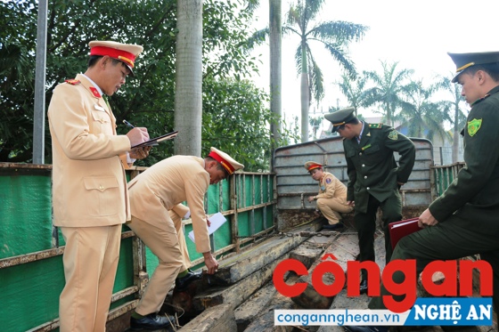 Lực lượng chức năng kiểm đếm số gỗ vận chuyển trái phép