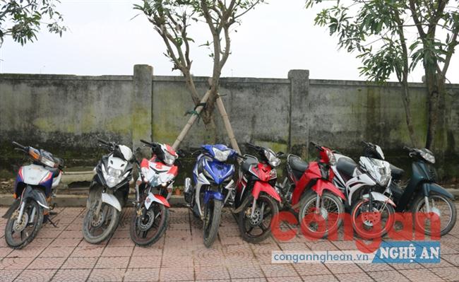 Tang vật thu giữ