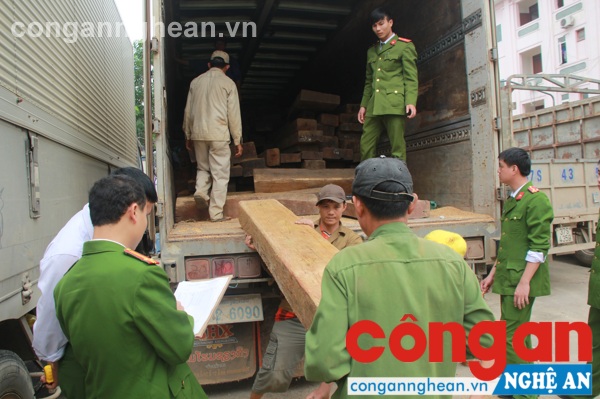 Lực lượng chức năng tiến hành kiểm tra số gỗ bị thu giữ