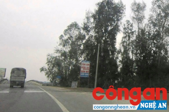 Điểm tắm lợn sát sông Già, cách Nhà máy nước 200 m