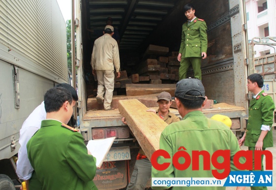 Lực lượng chức năng kiểm tra số gỗ bị thu giữ