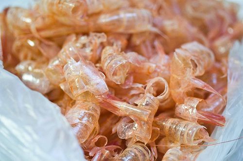 Vỏ tôm là nguồn nguyên liệu triển vọng đang bị lãng phí hiện nay.