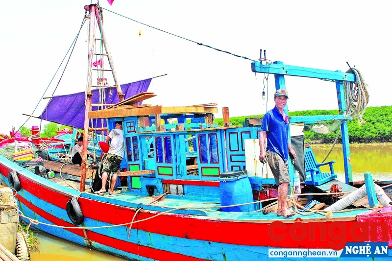 Ngư dân miền Trung nỗ lực bám biến, vươn khơi