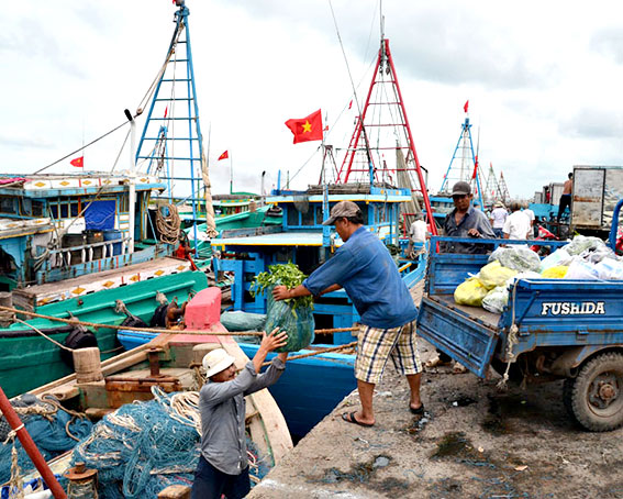 Ngư dân xã Phước Tỉnh vận chuyến nhu yếu phẩm cần thiết xuống tàu để chuẩn bị cho chuyến biển đầu năm.