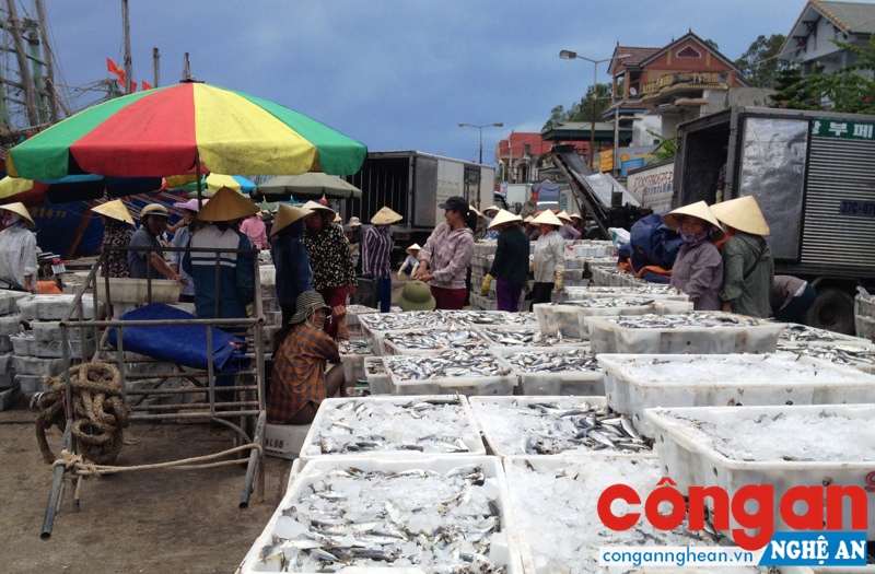 Nhộn nhịp cảnh mua bán thuỷ sản ở Cảng cá Lạch Quèn tại xã Tiến Thuỷ, huyện Quỳnh Lưu