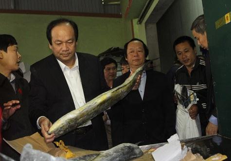 Tổ công tác của Thủ tướng Chính phủ kiểm tra tình hình giải quyết các lô hàng hải sản tồn kho sau sự cố môi trường biển, tháng 12/2016.