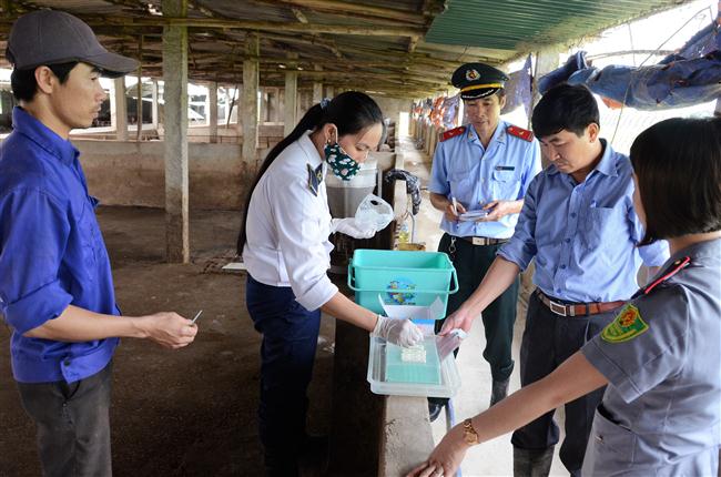 Đoàn kiểm tra liên ngành kiểm tra tại một cơ sở chăn nuôi trên địa bàn