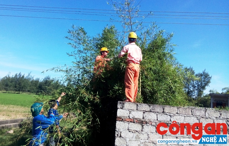 Huyện đoàn Tương Dương phối hợp với Điện lực huyện phát quang hành lang đường dây điện trên địa bàn