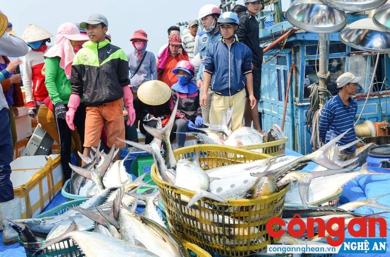 Biển miền Trung đã sạch trở lại sau sự cố Formosa