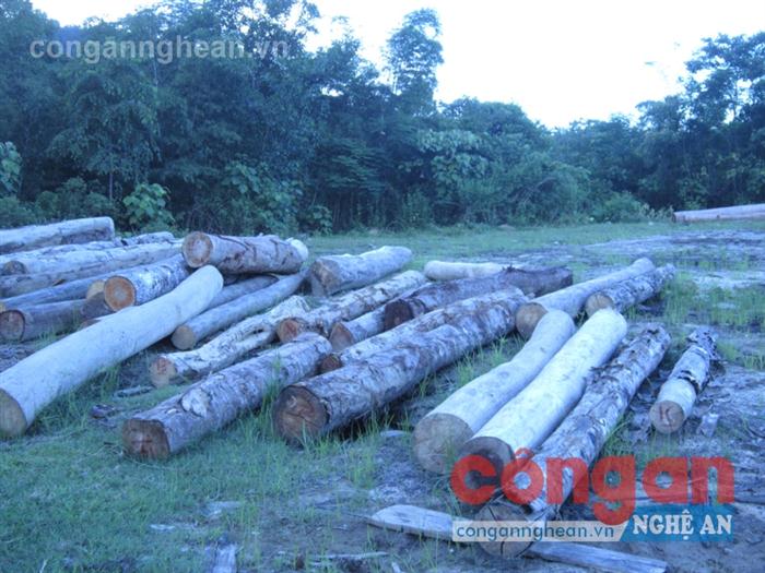 Gỗ thu giữ tại bản Vều 4, xã Cao Vều 