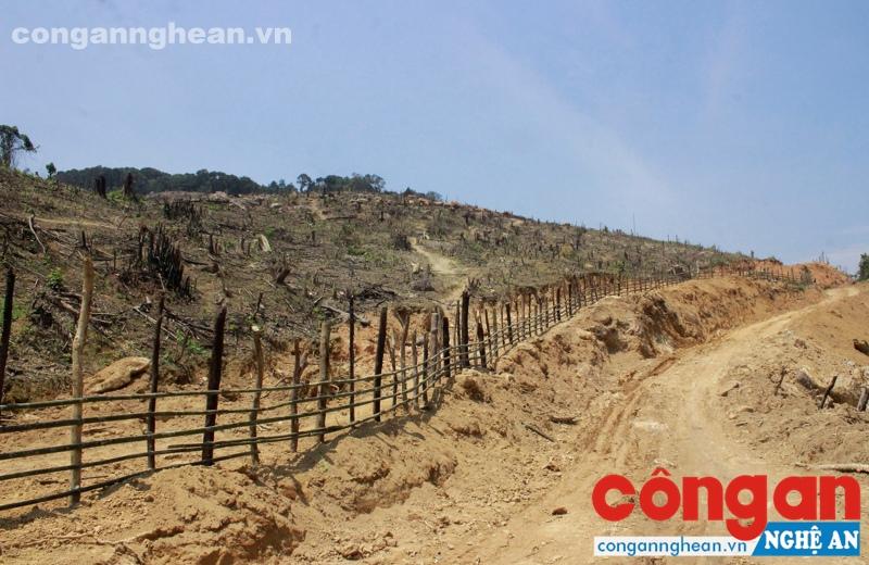 Nhiều diện tích đất rừng 163 tại xã Đôn Phục bị chặt đốt sau khi chuyển nhượng trái phép
