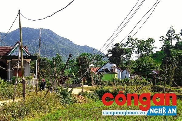 Nguồn điện kéo về các hộ gia đình được làm tạm bợ, nguy hiểm đến tính mạng