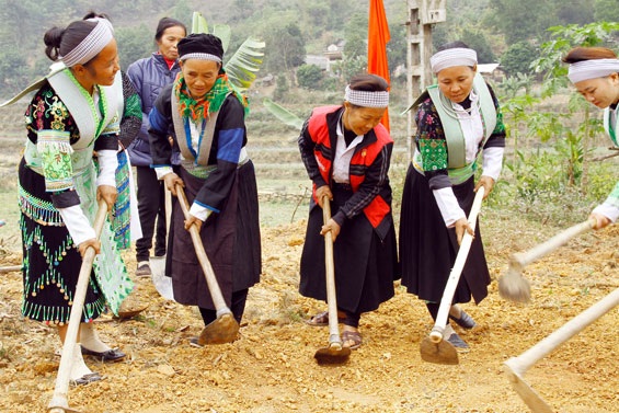 Ảnh minh họa