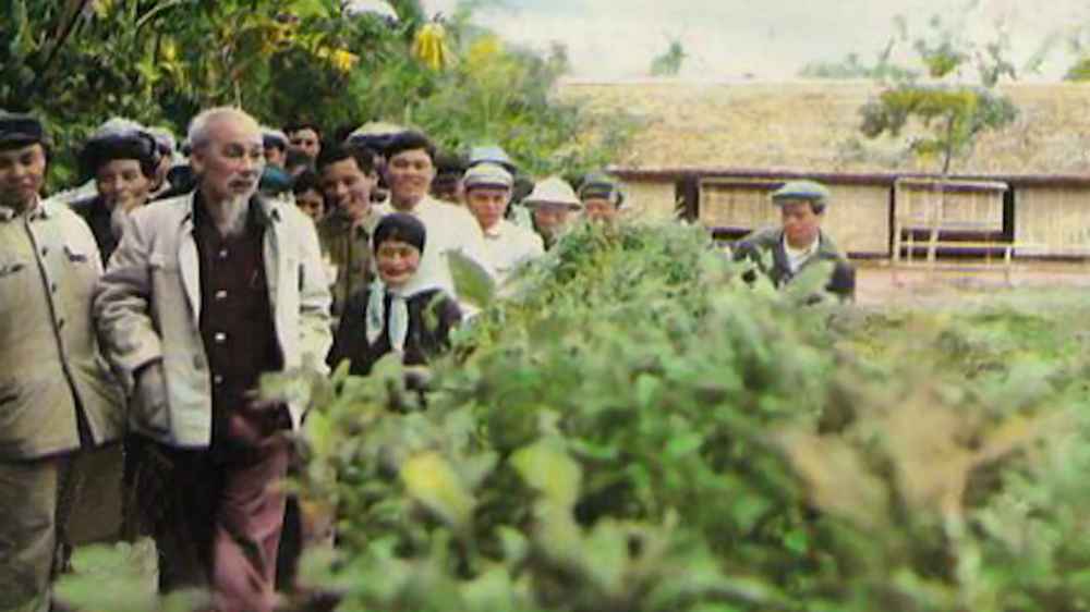 Bác Hồ tại làng Sen