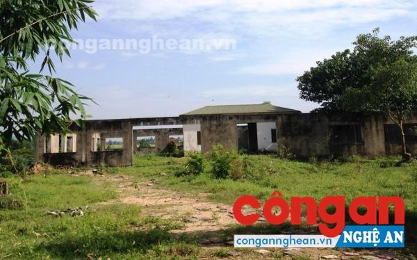 Dự án xây dựng Cơ sở bảo trợ xã hội Nhân Tâm tại khối 1, phường Vinh Tân, TP Vinh đã bị UBND tỉnh Nghệ An ra Quyết định thu hồi do không thực hiện theo cam kết ban đầu