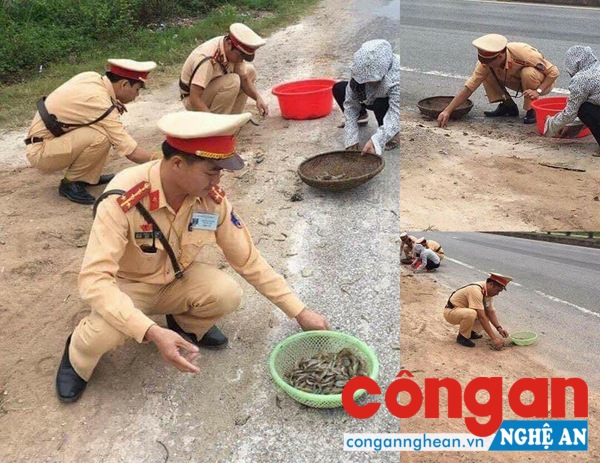 Hình ảnh các CBCS CSGT nhặt tôm, cua rơi vãi trên đường (Ảnh từ FB)