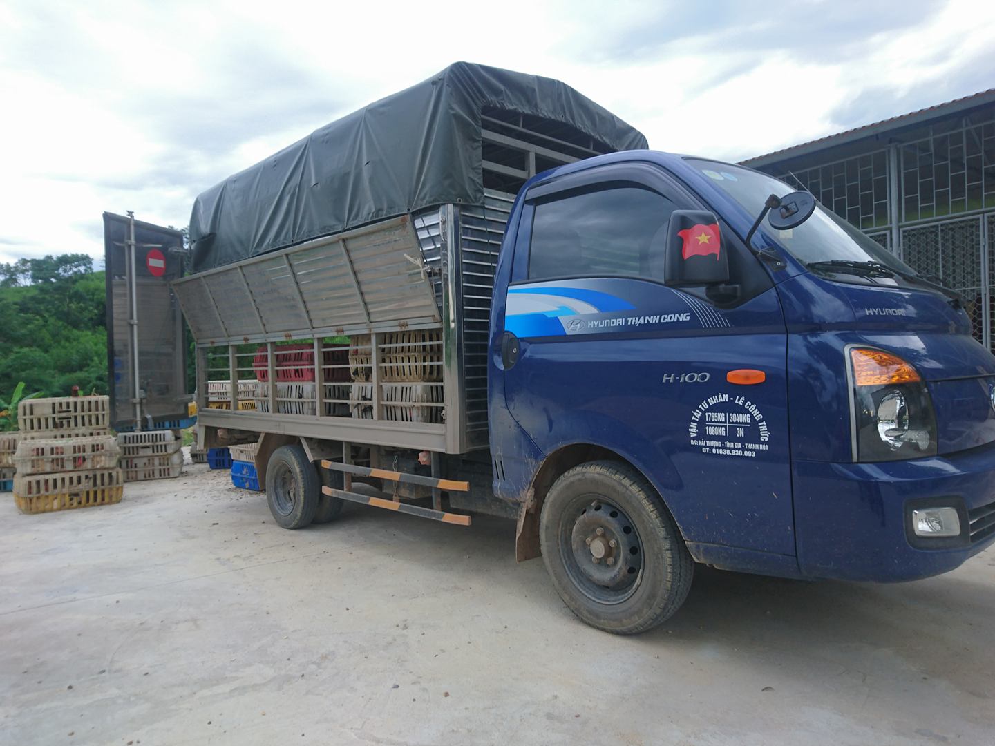 Phương tiện và tang vật vụ việc