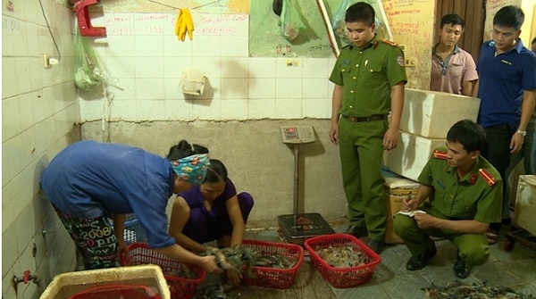 Nhân viên của cơ sở kinh doanh đang bơm tạp chất vào tôm