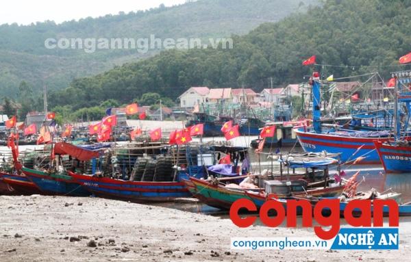Những chuyến tàu vừa trở về sau chuyến ra khơi