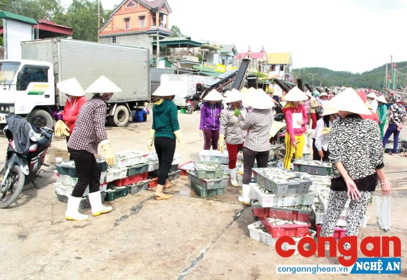 Người dân vui mừng khi thuyền về bờ với nhiều hải sản tươi ngon