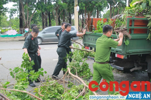 Các cây bị ngã, gãy được các cán bộ, chiến sĩ thu dọn chuyển lên xe