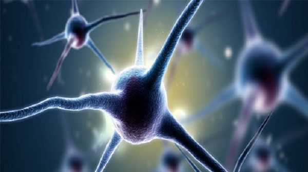 Phương pháp chữa trị mới cho bệnh Alzheimer (Ảnh: SARANS)