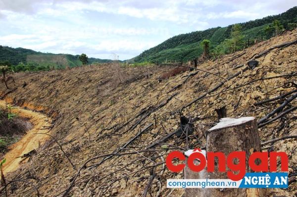 Nhiều địa phương trên địa bàn tỉnh để xảy ra tình trạng người dân tự ý phát đốt rừng tự nhiên, vi phạm Luật Bảo vệ và phát triển rừng và Luật Đất đai