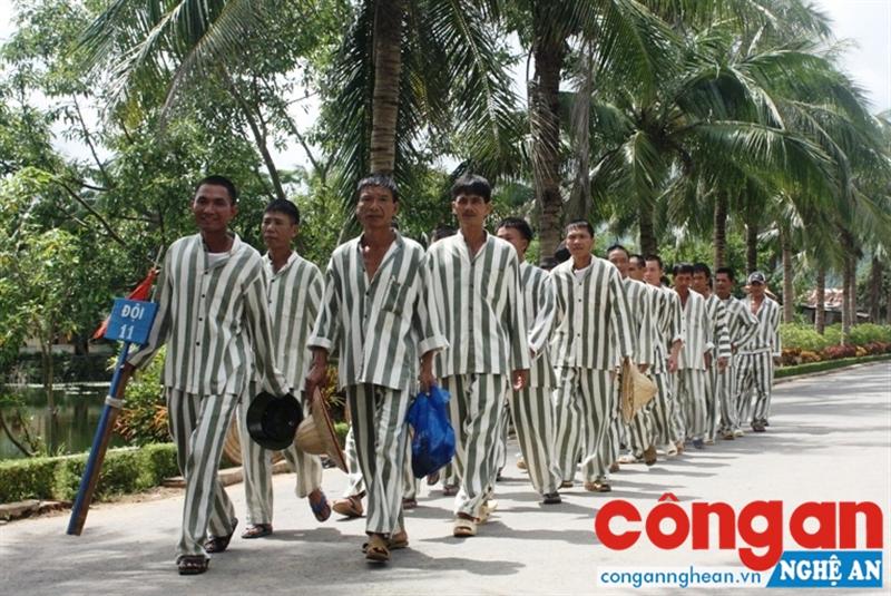 Phạm nhân trên đường lao động cải tạo trở về buồng giam