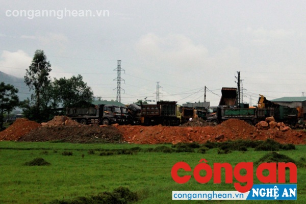Tại xứ Đồng Bạc, Công ty TNHH ĐT-XD Vinh Thành đổ đất san lấp mặt bằng trái phép trên đất nông nghiệp (Ảnh chụp ngày 21/8)