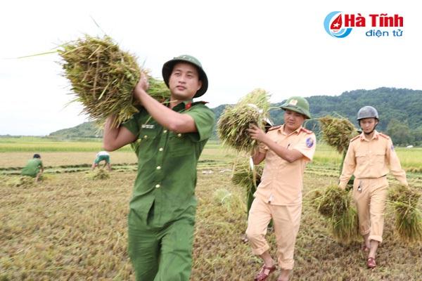Sáng 14/9, các chiến sĩ quân đội, công an giúp nông dân Hà Tĩnh gặt lúa chạy bão