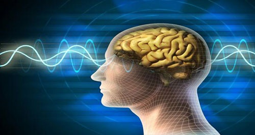 Thể xác và tâm thần có mối liên hệ chặt chẽ với nhau (Ảnh: Internet)