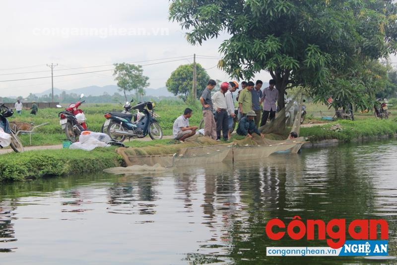 Việc xử lý nghiêm các hành vi sản xuất, kinh doanh thực phẩm bẩn là cách bảo vệ quyền lợi các hộ chăn nuôi (Trong ảnh: Người dân thu hoạch cá được nuôi theo phương pháp hữu cơ, an toàn với người dân)