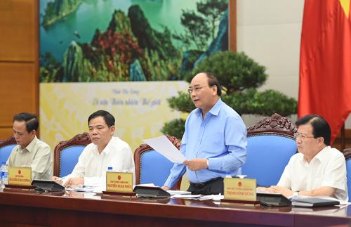 Tại Hội nghị, đánh giá một cách tổng quát, Thủ tướng cho rằng, mặt nổi trội vẫn nhiều hơn hạn chế, bức tranh tổng thể về công tác quản lý, bảo vệ rừng là tích cực. Ảnh: VGP/Quang Hiếu