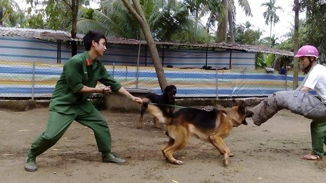 Huấn luyện chó luôn là một nghề nguy hiểm. 