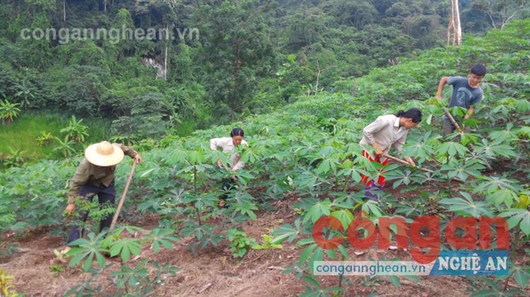 Thay đổi tư duy sản xuất là yếu tố bắt buộc để người nông dân  đứng vững trong xu thế hội nhập - ảnh minh họa