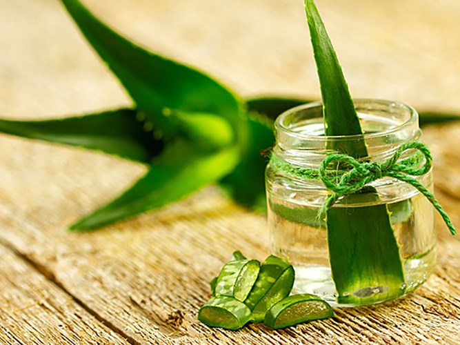 Lô hội chứa đầy các chất dinh dưỡng để chữa bệnh, gel chứa trong lá lô hội là một thuốc giảm đau mạnh và làm lành các vết thương. Đắp gel trên vết thương bên ngoài của bạn, như vết bỏng da, vết cắt hoặc vết loét. Bạn cũng có thể uống nước lô hội để làm lành các vết thương bên trong do các tình trạng như viêm loét đại tràng, loét dạ dày và nhiệt miệng.