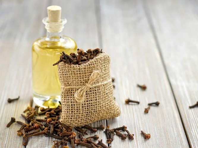 Đinh hương: Trong đinh hương có chứa eugenol, đây là chất gây tê tự nhiên rất mạnh, nó vừa có tác dụng gây tê dây thần kinh, vừa giảm đau rất hiệu quả. Ngoài ra eugenol còn có tính sát trùng và  tiêu diệt vi khuẩn gây bệnh, giảm thiểu sự nhiễm trùng xuống mức thấp nhất.