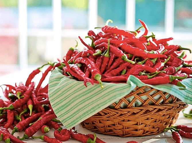 Ớt Cayenne là một loại ớt có chứa hợp chất capsaicin. Hợp chất này được biết đến để làm giảm lượng chất-P được tiết ra bởi cơ thể của bạn khi bạn bị đau, do đó giảm bớt cơn đau của bạn.