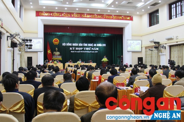 Đại biểu các sở, ngành và các vị Đại biểu HĐND tỉnh tham dự kỳ họp