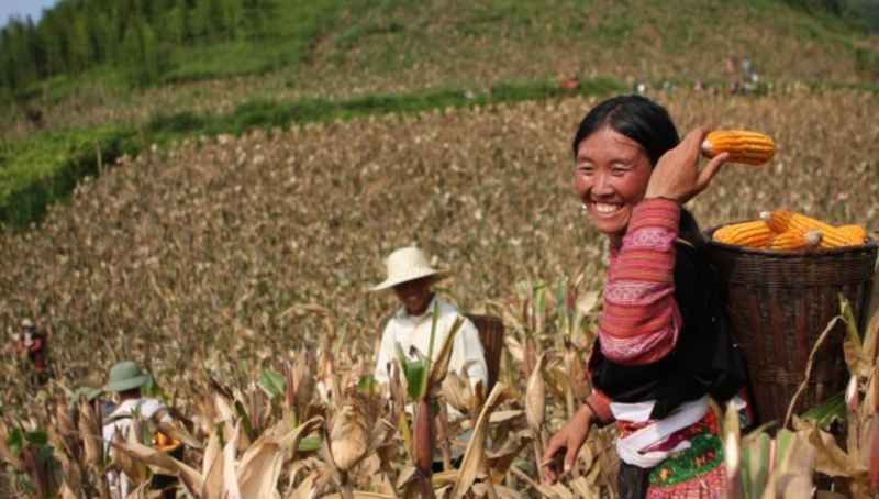 Đảng đang chèo lái đưa Nhân dân Việt Nam thoát khỏi nghèo nàn, lạc hậu, có cuộc sống ấm no, tự do, hạnh phúc, có điều kiện để phát triển toàn diện.