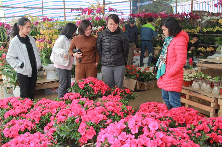 Người dân chăm chú chọn cho mình những cây hoa đẹp nhất.
