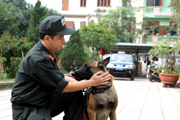 Huấn luyện viên luôn xem chó nghiệp vụ như một người bạn thân thiết