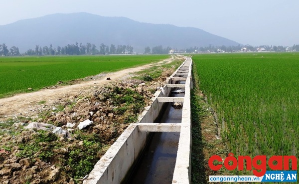 Một đoạn kênh mương thuộc Dự án “Nâng cấp trạm bơm và hệ thống kênh nội đồng xã Nghi Vạn”