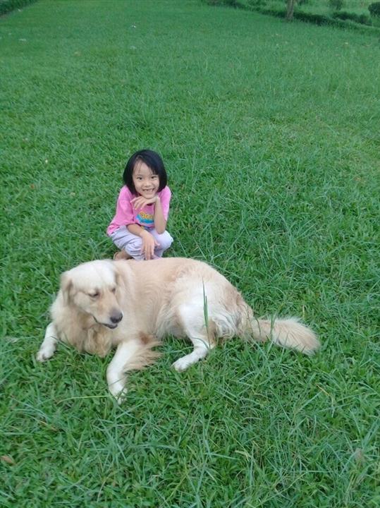 Mơ ước được làm bác sĩ thú y của bé Hải An mãi mãi không bao giờ thành hiện thực.