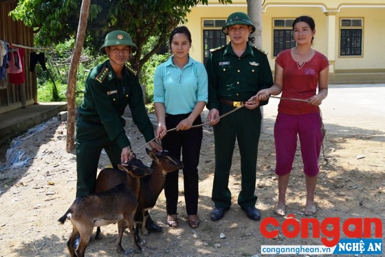 Đồn Biên phòng Tam Hợp tặng dê giống cho hộ nghèo trên địa bàn xã