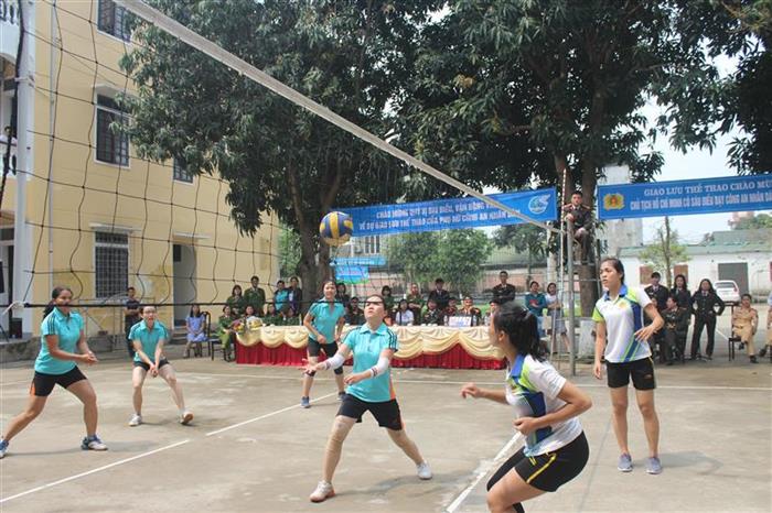 Các đội thi đấu môn bóng chuyền