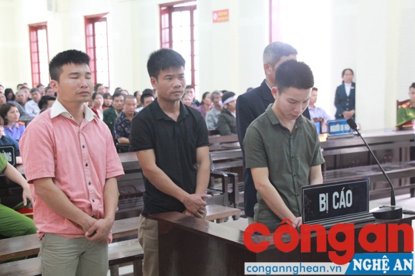 Các bị cáo tại phiên tòa 