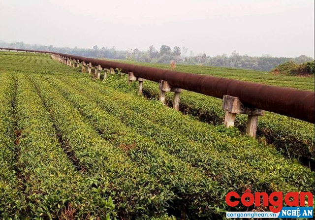 Đường ống dẫn nước của dự án hiện không phát huy tác dụng